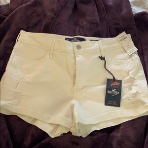 NWT hollister jean shorts